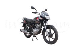 Honda Shine Spoke
